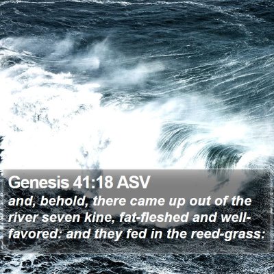 Genesis 41:18 ASV Bible Verse Image