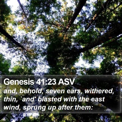 Genesis 41:23 ASV Bible Verse Image