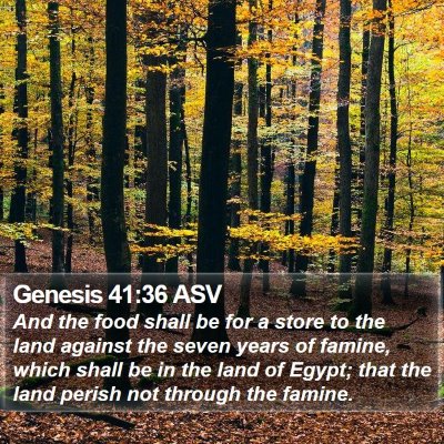 Genesis 41:36 ASV Bible Verse Image