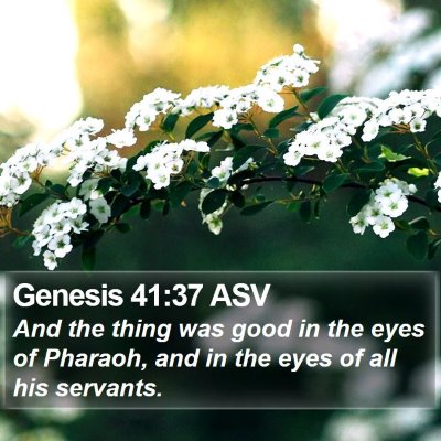 Genesis 41:37 ASV Bible Verse Image