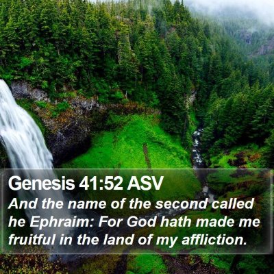Genesis 41:52 ASV Bible Verse Image