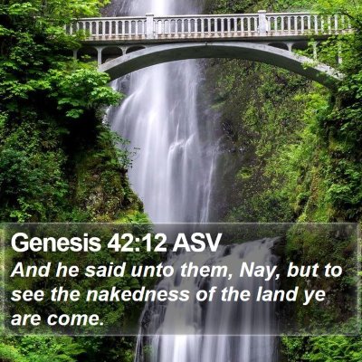 Genesis 42:12 ASV Bible Verse Image