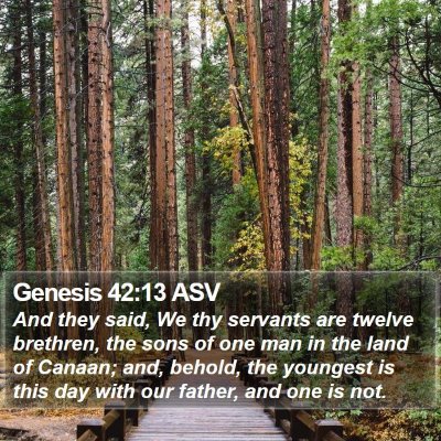 Genesis 42:13 ASV Bible Verse Image
