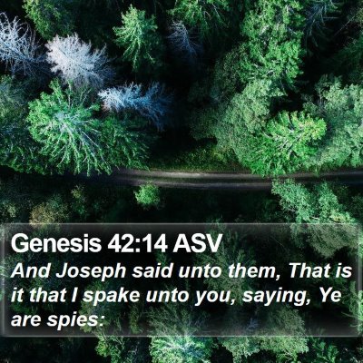 Genesis 42:14 ASV Bible Verse Image