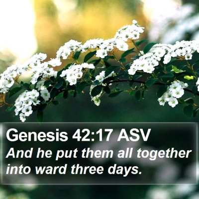 Genesis 42:17 ASV Bible Verse Image