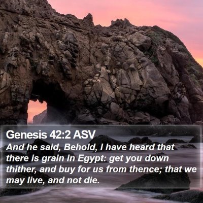 Genesis 42:2 ASV Bible Verse Image