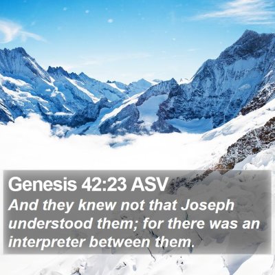Genesis 42:23 ASV Bible Verse Image