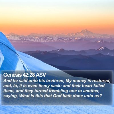 Genesis 42:28 ASV Bible Verse Image