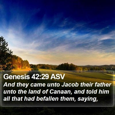 Genesis 42:29 ASV Bible Verse Image
