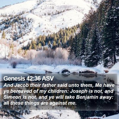 Genesis 42:36 ASV Bible Verse Image