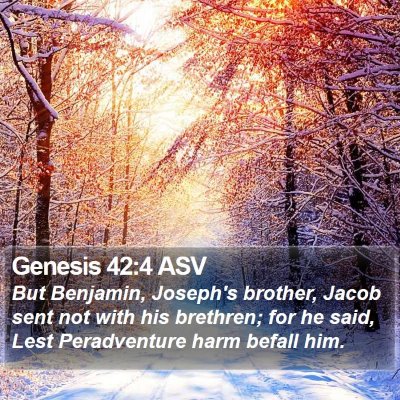 Genesis 42:4 ASV Bible Verse Image