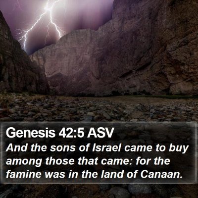 Genesis 42:5 ASV Bible Verse Image
