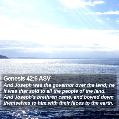 Genesis 42:6 ASV Bible Verse Image