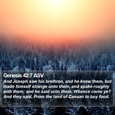 Genesis 42:7 ASV Bible Verse Image