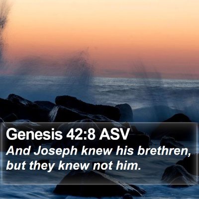 Genesis 42:8 ASV Bible Verse Image