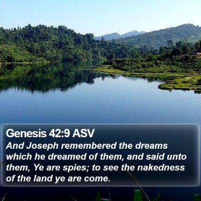 Genesis 42:9 ASV Bible Verse Image
