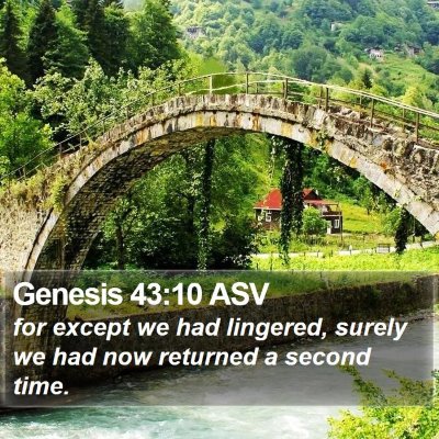 Genesis 43:10 ASV Bible Verse Image