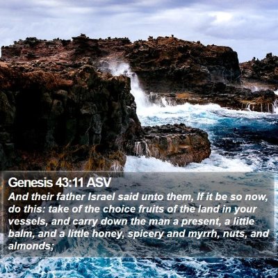 Genesis 43:11 ASV Bible Verse Image
