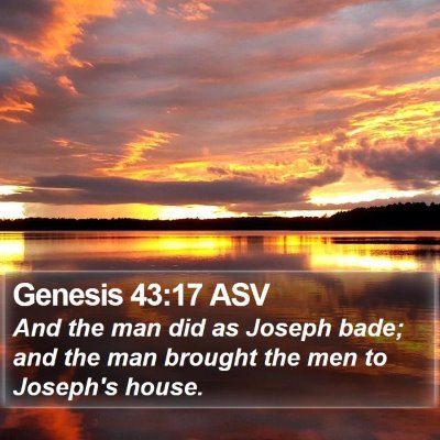 Genesis 43:17 ASV Bible Verse Image