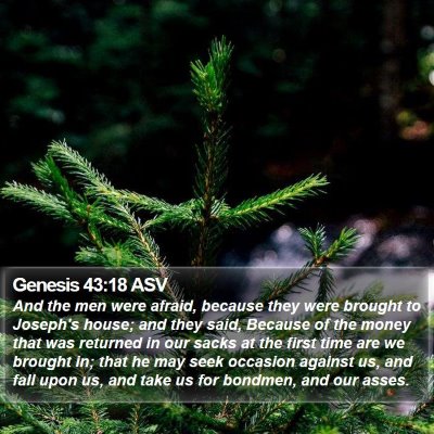 Genesis 43:18 ASV Bible Verse Image
