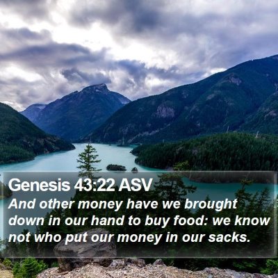 Genesis 43:22 ASV Bible Verse Image