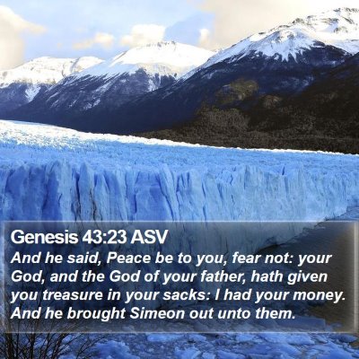 Genesis 43:23 ASV Bible Verse Image