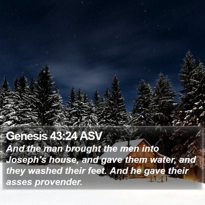 Genesis 43:24 ASV Bible Verse Image