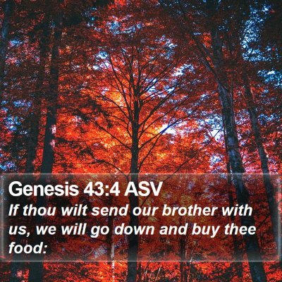 Genesis 43:4 ASV Bible Verse Image