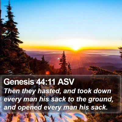 Genesis 44:11 ASV Bible Verse Image