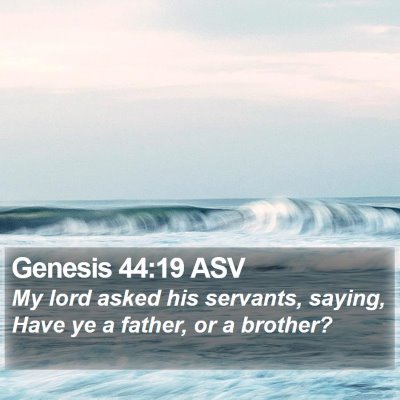 Genesis 44:19 ASV Bible Verse Image