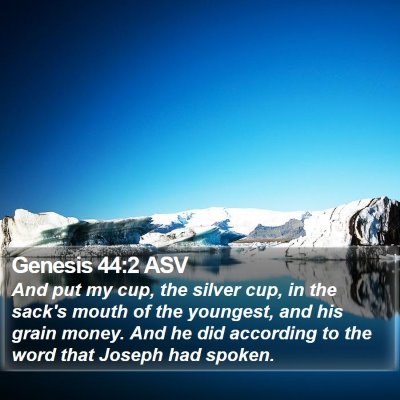 Genesis 44:2 ASV Bible Verse Image