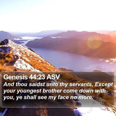 Genesis 44:23 ASV Bible Verse Image