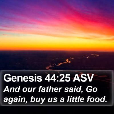 Genesis 44:25 ASV Bible Verse Image