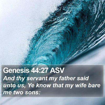 Genesis 44:27 ASV Bible Verse Image