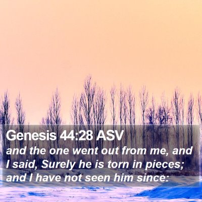 Genesis 44:28 ASV Bible Verse Image