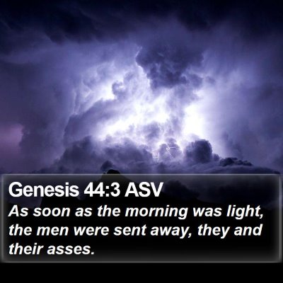 Genesis 44:3 ASV Bible Verse Image