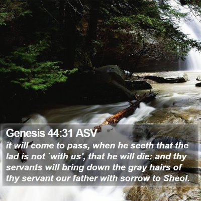 Genesis 44:31 ASV Bible Verse Image