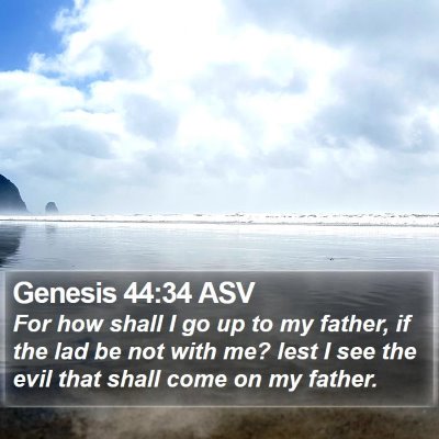 Genesis 44:34 ASV Bible Verse Image