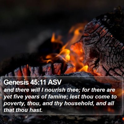 Genesis 45:11 ASV Bible Verse Image