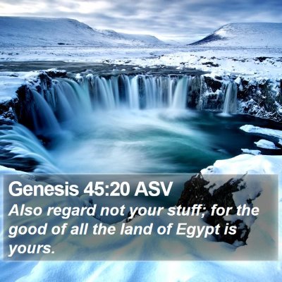 Genesis 45:20 ASV Bible Verse Image