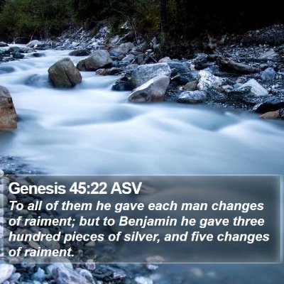 Genesis 45:22 ASV Bible Verse Image