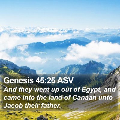 Genesis 45:25 ASV Bible Verse Image