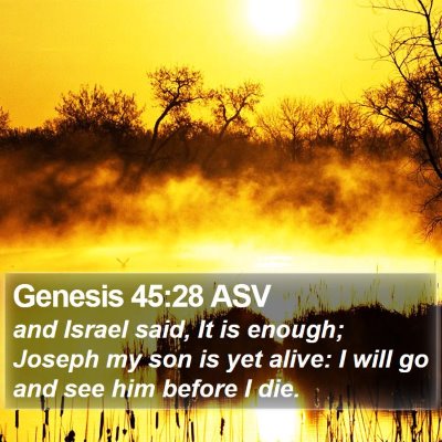 Genesis 45:28 ASV Bible Verse Image