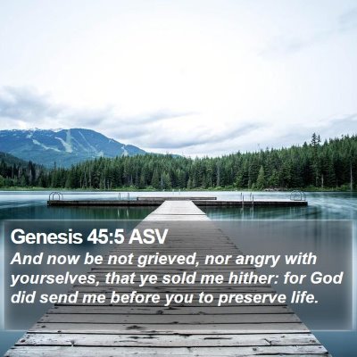 Genesis 45:5 ASV Bible Verse Image