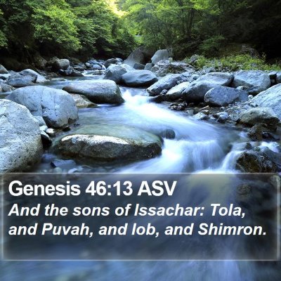 Genesis 46:13 ASV Bible Verse Image