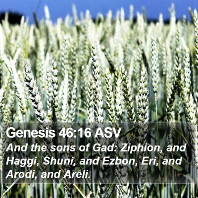 Genesis 46:16 ASV Bible Verse Image