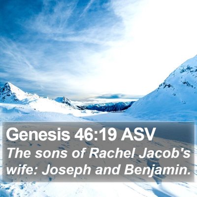 Genesis 46:19 ASV Bible Verse Image