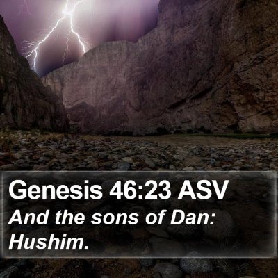 Genesis 46:23 ASV Bible Verse Image
