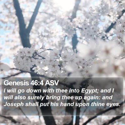 Genesis 46:4 ASV Bible Verse Image