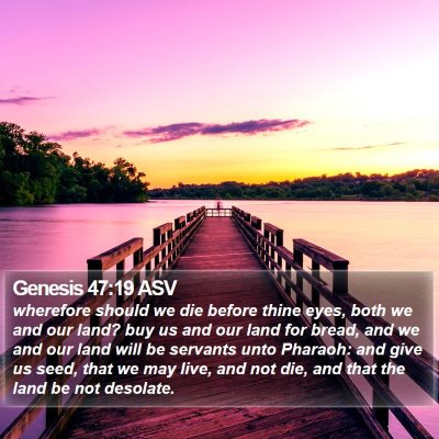 Genesis 47:19 ASV Bible Verse Image